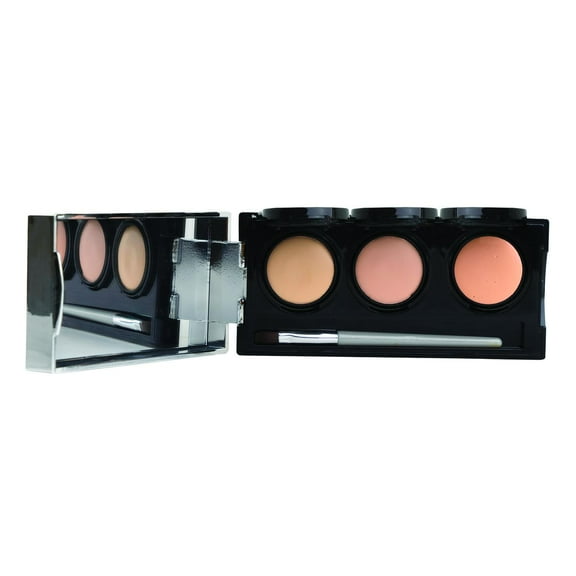 Dermaflage Pro Concealer Palette - Full Coverage Concealer Palette, Waterproof Concealer Cream, 3 Colors Brush - LIGHT