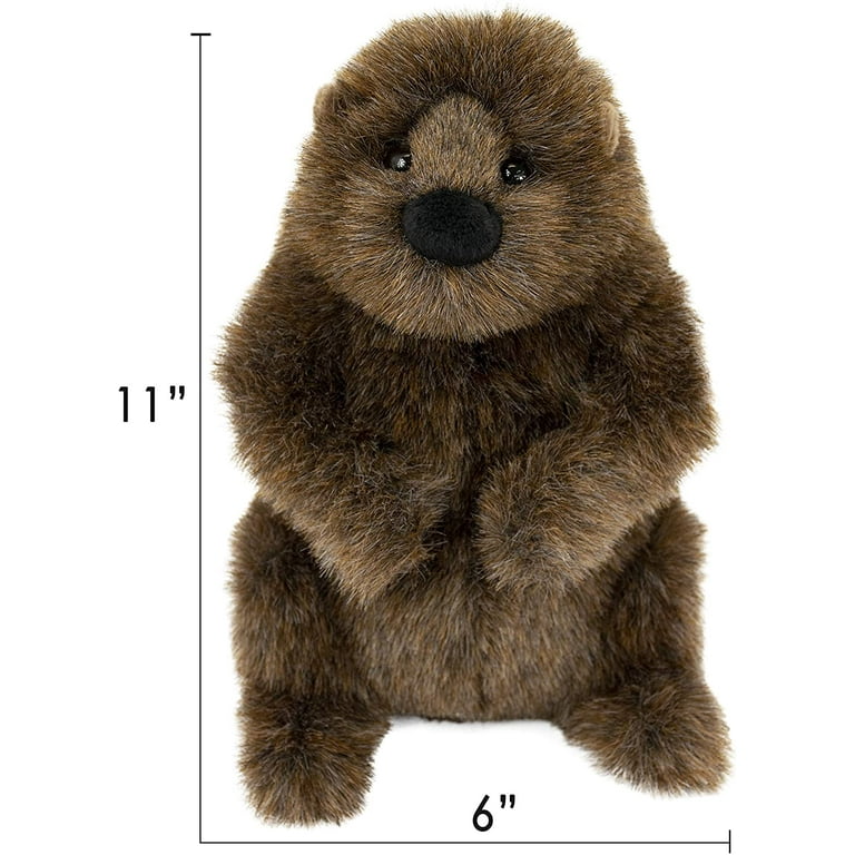 Douglas Chuckwood Groundhog Plush Stuffed Animal Walmart