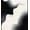 Black, Pattern 4, variant on ODIKA 4'x6' Machine Washable Non-Slip Area Rug, Elegant Bathroom with PVC Backing Absorbent Dark Grey High Traffic Rug, Gray, 103362
