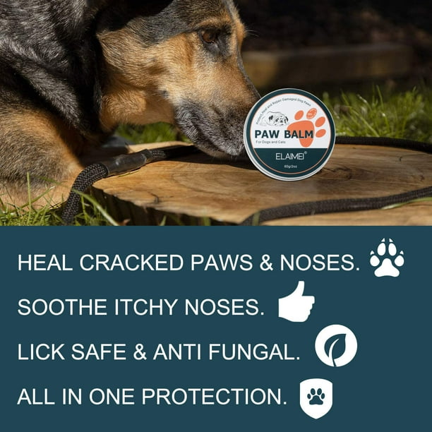 Cracked hot sale paw balm