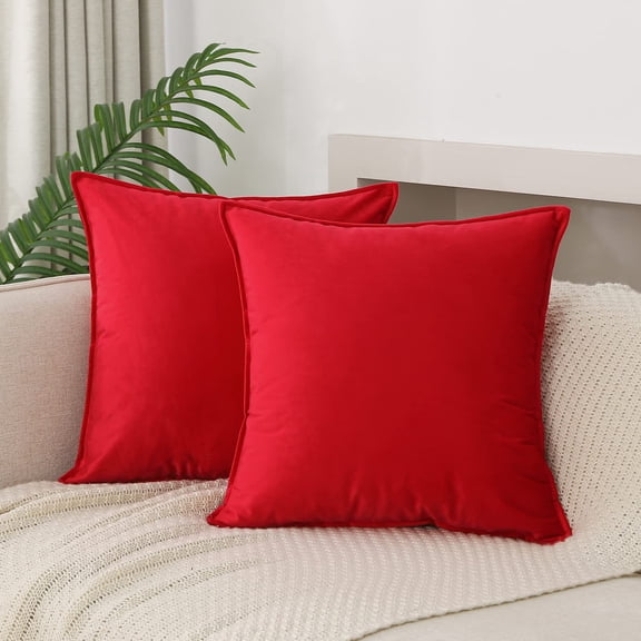 Nmkwnr Set of 2 Decorative Throw Pillow Covers Soft Velvet Cushion Cover Square Pillow Case for Sofa Couch Bed Chair, 24x24 Inch