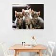 thumbnail image 2 of Nawypu  Three Elegant American Shorthair Cats Poster Canvas Prints Wall Art For Home Office Decorations With Framed, 2 of 4