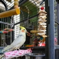 thumbnail image 6 of Bird Toys - Wood Chew Toy, Chew Play Item with Hanging Chain, Colorful Bird Cage Toy with Calcium Rich Cuttlefish Bone, Durable Interactive Play Item, 6 of 6
