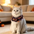 thumbnail image 5 of Crochet Halloween Pet Collar With Cat Design Soft Yarn Neck Accessory For Cats And Small Dogs Adjustable Fit For Daily Wear C-48Cm, 5 of 7