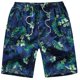 thumbnail image 1 of Pantalones cortos de baño para hombre, ropa de playa, para correr, gimnasio, 2023 Fivean unisex, 1 of 2