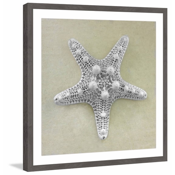 "Pearly Starfish" Framed Painting Print