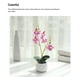 thumbnail image 3 of Planta artificial decorativa Matsuzay de cerámica color rosa, 3 of 6
