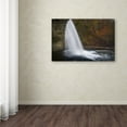 thumbnail image 4 of Trademark Fine Art "Nature Beauty" Canvas Art by Mathieu Rivrin, 4 of 4