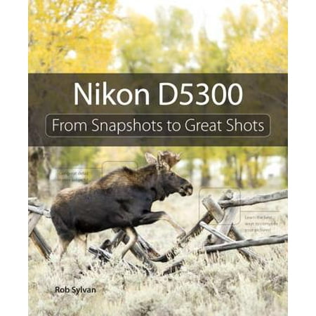 Nikon D5300 (Best Settings For Portrait Photography Nikon D5300)