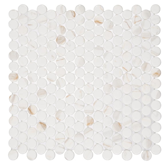 Muse 11-in. x 11-in Penny Round Marble Look Matt Glass Wall & Floor Mosaic Tile