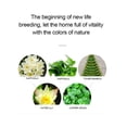 thumbnail image 4 of braveheart Clear Lotus Small s Fish In Or Lotus For Glass Plant Planting 20cm 19.5*19.5*9.5CM, 4 of 6