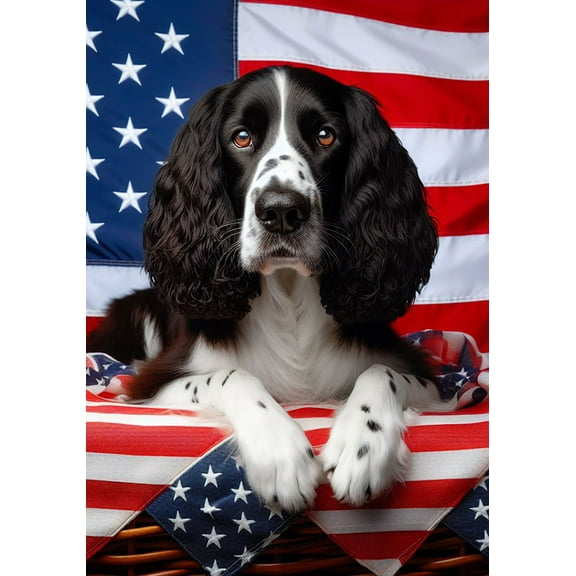 Springer Spaniel B/W -  Best of Breed DCR Patriotic I House Flag