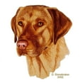 thumbnail image 2 of CafePress - Fox Red Labrador Mug - 11 oz Ceramic Mug - Novelty Coffee Tea Cup, 2 of 4