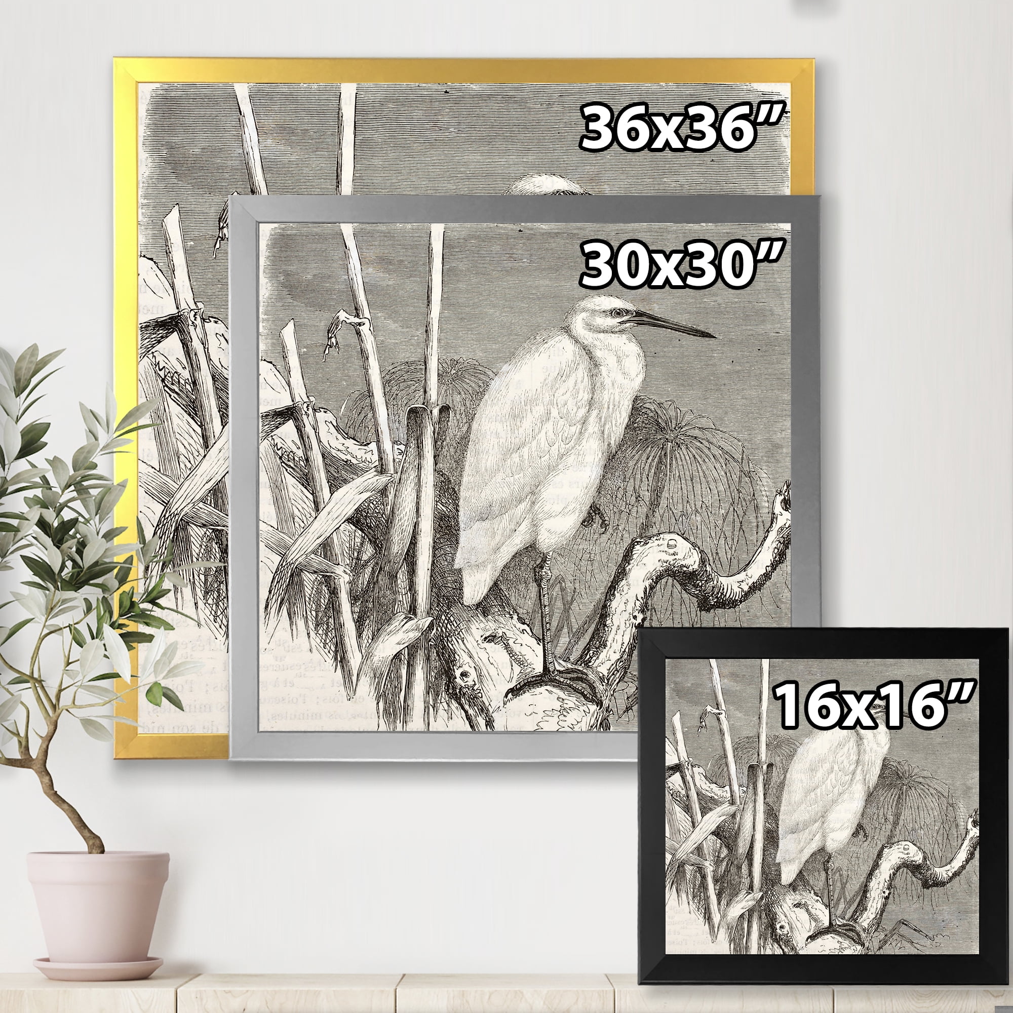 Designart 'Little Egret Bird in Monochrome' Farmhouse Framed Art Print