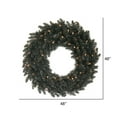 thumbnail image 2 of Vickerman 48" Black Fir Artificial Christmas Wreath, Warm White Dura-Lit LED lights., 2 of 2