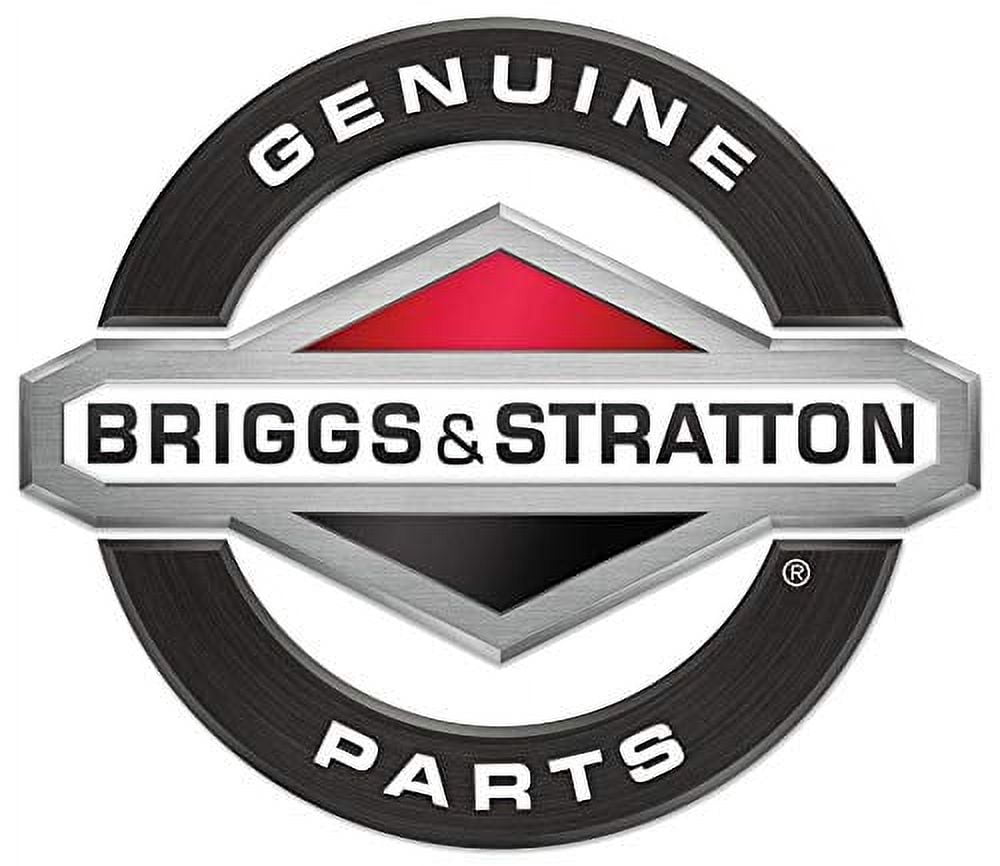Briggs & Stratton 798182 Lawn Mower Switch Key Genuine Original Equipment Manufacturer (OEM) Part