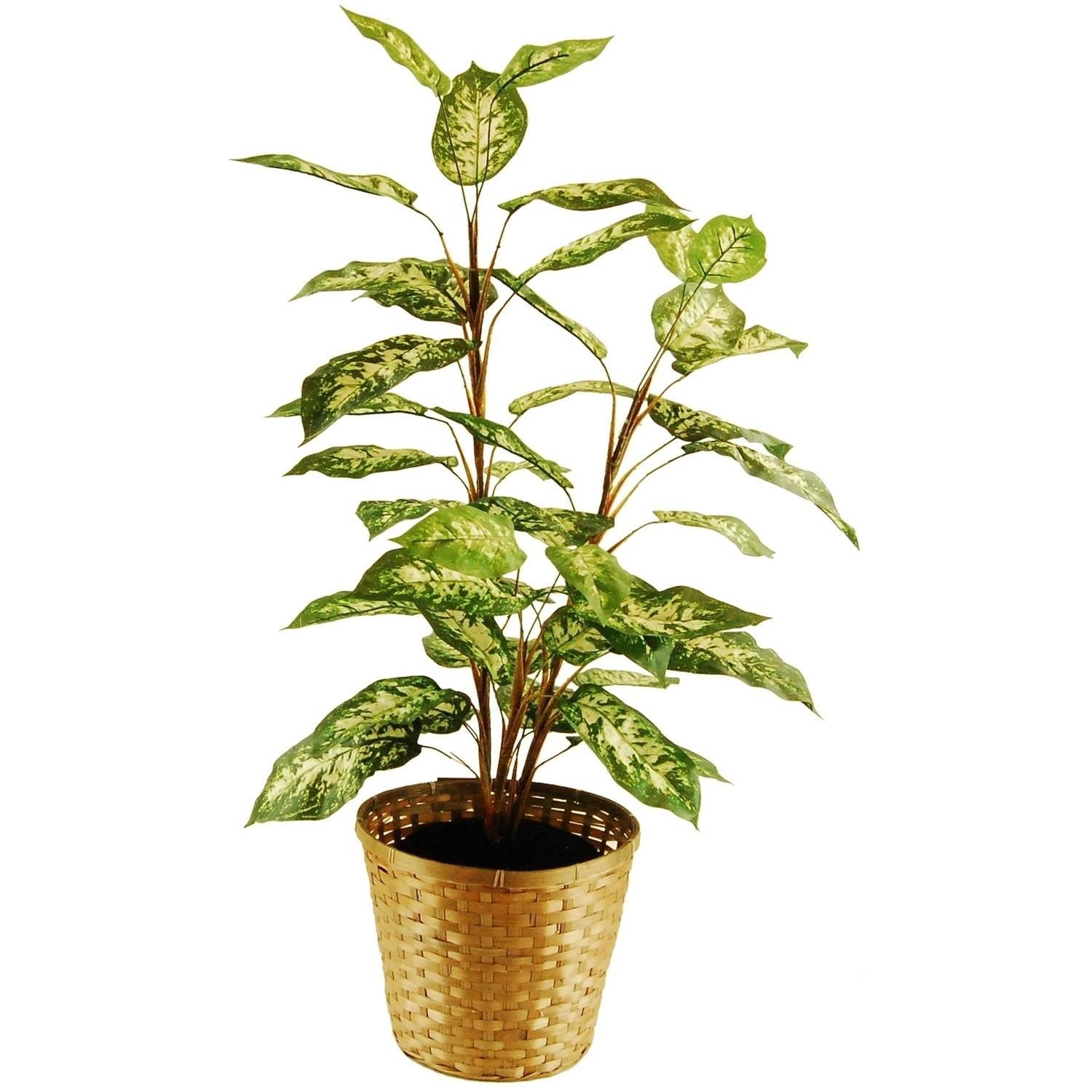 48 Artificial Dieffenbachia Floor Plant In A Basket With Faux