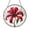 Acrylic 3.5 Inch, variant on Spider Lily Floral Acrylic Window Decor – Botanical Hanging Art