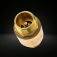 3/4 Inch Brass In Line Spring Check Valves Male to Female Connection ...