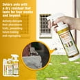 thumbnail image 6 of EcoVenger Ant Killer & Crawling Insect Killer (Citrus Scent) 16 OZ, Kills Fast in Minutes, Also Kills Spiders, Centipedes & More, Repels with Residual, Natural & Non-Toxic, Children & Pets Safe, 6 of 10