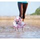 thumbnail image 5 of Poncho impermeable y cortavientos CHAO para perro y cachorro talla M rosa, 5 of 5