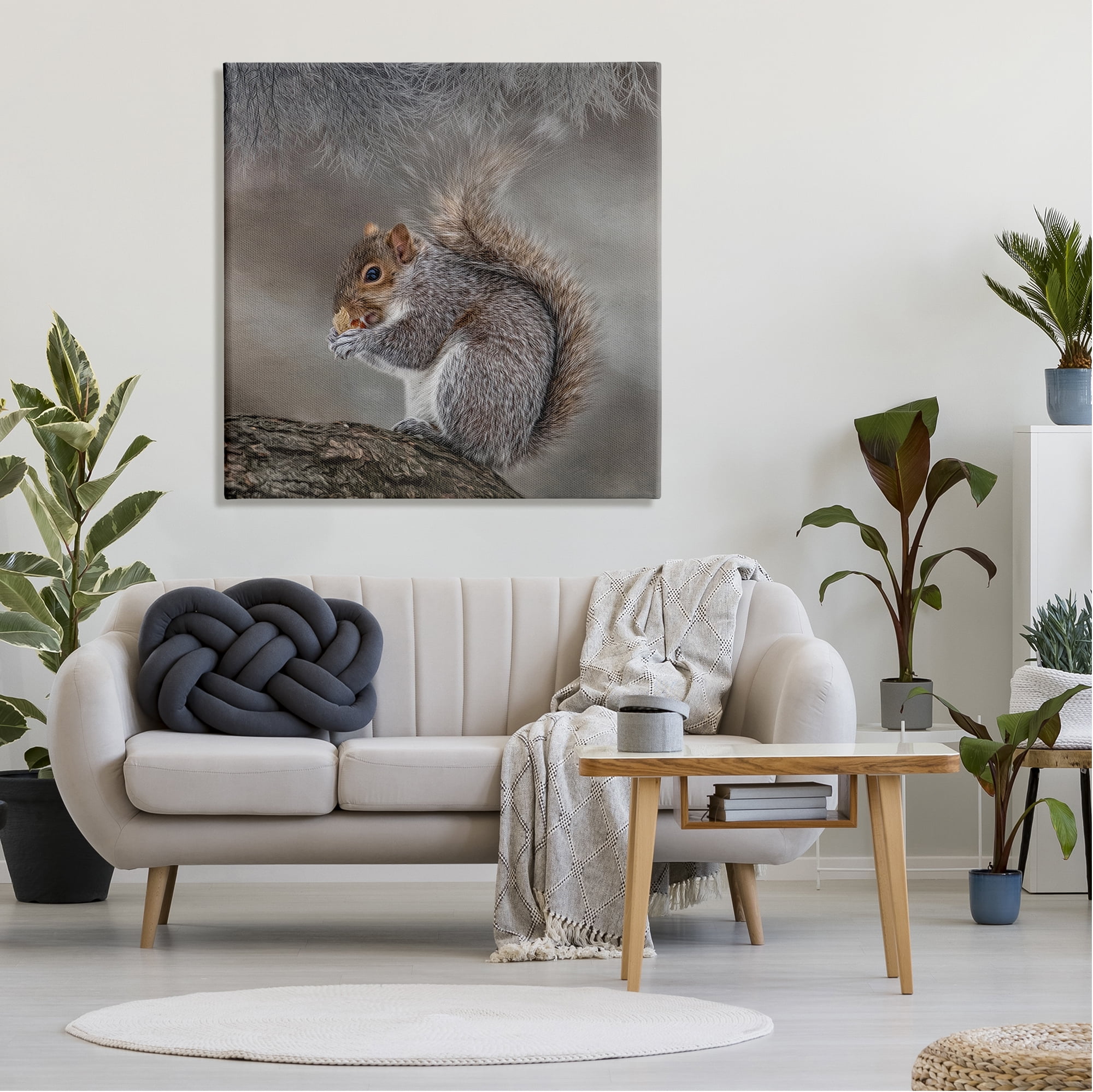 Stupell Woodland Wildlife Squirrel Photography Animals & Insects Photography Gallery Wrapped Canvas Print Wall Art