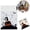 J, variant on 100-Piece Self-Adhesive Halloween Cellophane Cookie Bags with Pumpkin Design for Party Treat Packaging