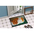 thumbnail image 4 of Carolines Treasures MH1045JMAT Japanese Chin Tapis Intérieur & Extérieur - 24 x 36 Po., 4 of 4