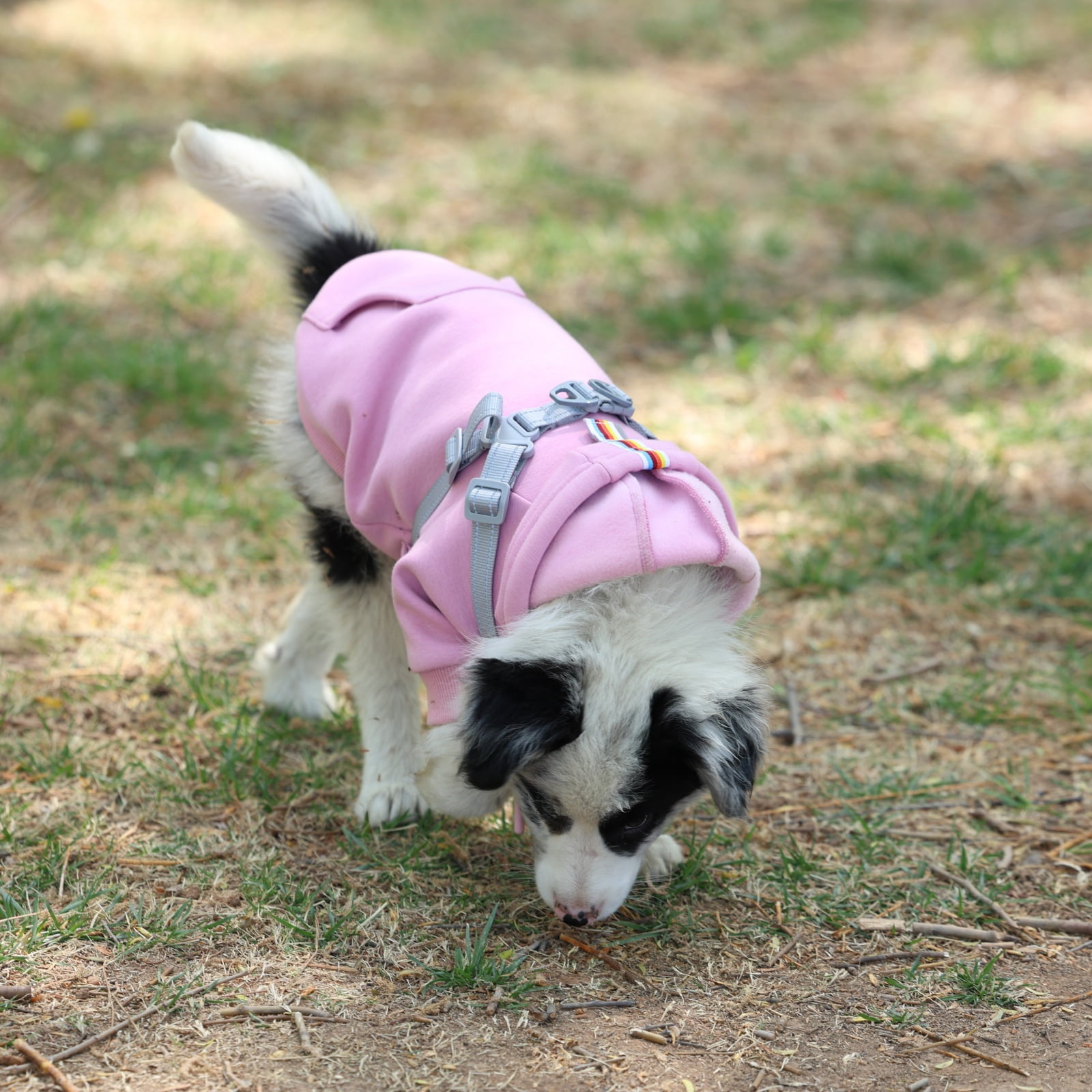 Furmate Dog Coat with Attached Chest Harness, Brimless Soft Pet Sweatshirt for Autumn & Winter, Leash-Ready Design for Small to Large Dogs
