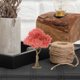 thumbnail image 4 of Árboles en miniatura, modelos artificiales de árboles, mesa de arena, árbol falso, planta en miniatura, figura de árbol para micropaisaje, diorama, paisaje, manualidades DIY, adorno de jardín, 4 of 7