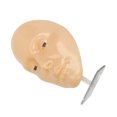 thumbnail image 1 of Tablero Facial De Práctica De Maquillaje, Maniquí De Maquillaje Reutilizable Maniquí De Sombra De Ojos, Cara De Maniquí De Silicona 5D Para Ojos Maquillaje Principiante Con, 1 of 7