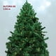 thumbnail image 4 of Arbol Navidad Verde JARDIMEX  190 Cm Frondoso Luces Led 736 Ramas, 4 of 11