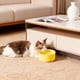 thumbnail image 4 of Cuenco De Cerámica Para Mascotas 1 Set Thermostatic Ceramic Pet Water Bowl with USB Heating for Winter Use Intelligent Constant Temperature Control & Spill-Proof Design 4.8x2.24" JASKFLY, 4 of 8