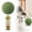 D, variant on Runkheen Cat Dental Care Chew Toy, Natural Silvervine Catnip Wooden Fish Bone Teeth Cleaning Sticks