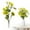 A/20.5in, variant on Fall Stems Artificial Stems Fall Stems Branches Fall Plants Artificial Fall Greenery Stems Fall Plants Fall Florals Floral Stems Branches for Decoration Eucalyptus Stems Brown 34.65in