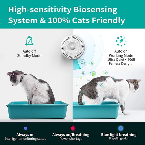 Kitchen and bathroom cat litter online