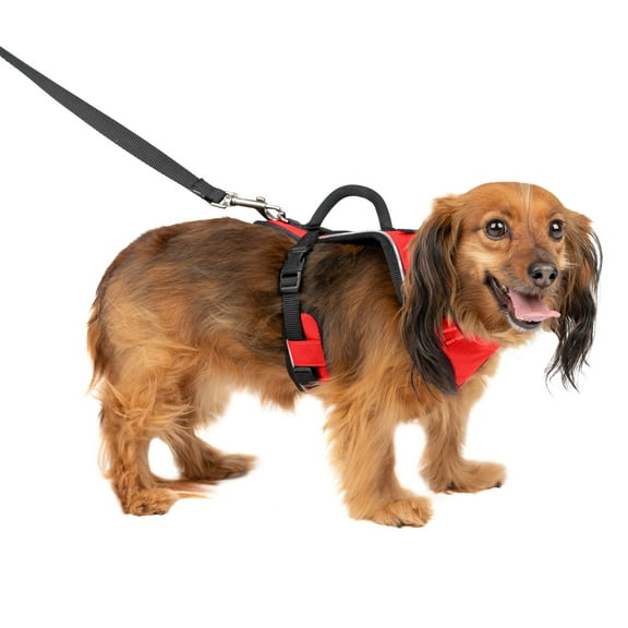 PetSafe EasySport Dog Harness | Great for Runs, Walks, and Hikes | Comfy
