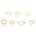 thumbnail image 1 of MesaSe 1 Set Life-Size Cervical Spine Model Medical Human Vertebrae Model for Student Study, 1 of 6