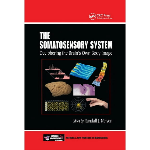 The Somatosensory System: Deciphering the Brain's Own Body Image, (Paperback)