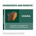 thumbnail image 5 of Host Defense Chaga Powder - 3.5 oz (66 Servings), 5 of 8