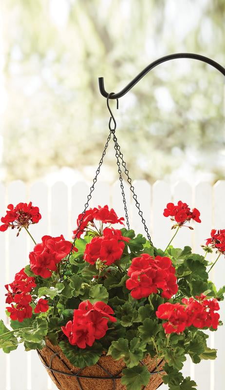 Mainstays Black Metal Planter Hanger Replacement Chain with Hook