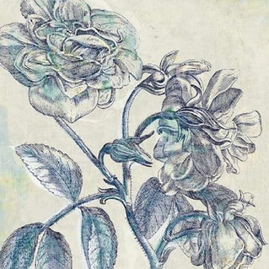 Belle Fleur I Poster Print by Sue Schlabach (12 x 12)