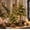 A, variant on CHJK Vintage Lighted Norfolk Pine Tree, 12" Tabletop Christmas Decor with Warm White LED Light and Cascading Evergreen Branches, Battery Operated Christmas Tree Desktop Oranment for Festival Party
