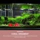 thumbnail image 4 of BESTYASH 2Ud De Acuarios Con Flotantes Y Coral Artificial En Resina Roja, 4 of 6