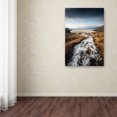 thumbnail image 3 of Trademark Fine Art "Bright Eyes" Canvas Art by Philippe Sainte-Laudy, 3 of 3