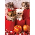thumbnail image 2 of Eurographicspuzzles - Kittens In Pots - Jigsaw Puzzle - 1000 Pieces, 2 of 2