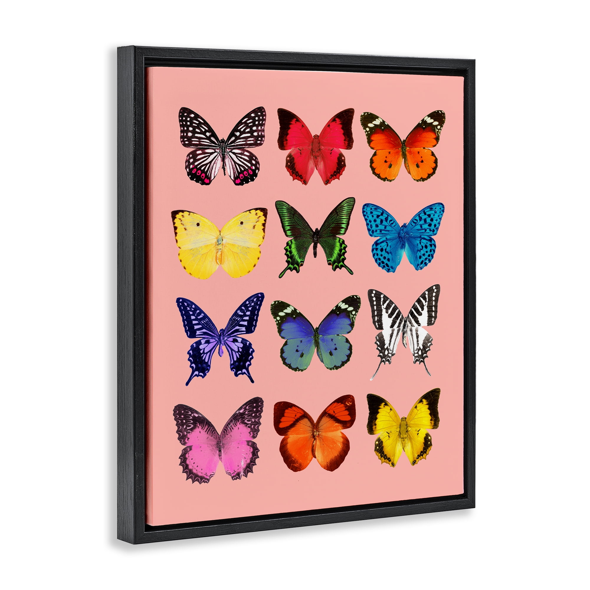 Butterfly Species on Pink Black Framed Floater Canvas Wall Art, design by LISH Creative