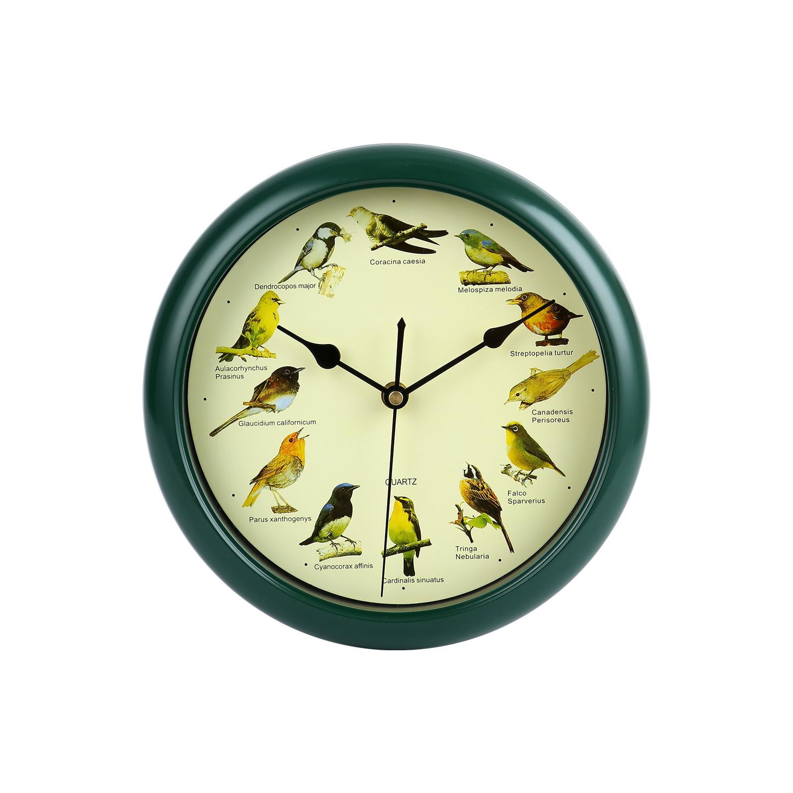 10-Inch Round Bird Wall Clock with Hourly Chime and Green Frame, Nature Illustrations for Living Room, Decorative Wall Clock