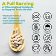 thumbnail image 6 of (3 Pack) Cognistrong - Brain Boost Supplement - Dietary Supplement for Focus, Memory, Clarity, Cognitive - Advanced Nootropic Support Formula for Maximum Strength - 180 Capsules, 6 of 6