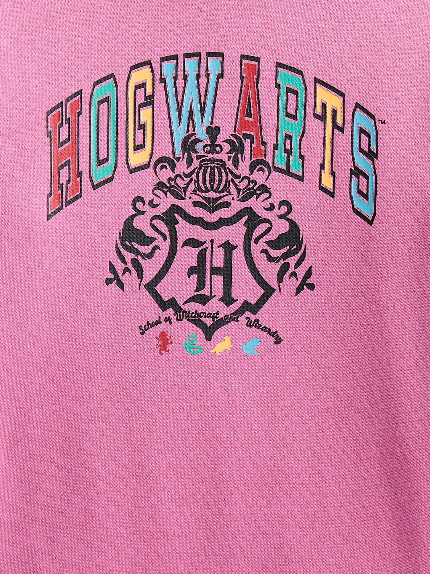 Harry Potter Boys Hogwarts Graphic Crew Fleece Sweatshirt, Sizes XS-2XL